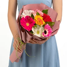 7 Гербер Микс в упаковке