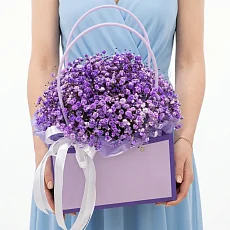 Лавандовая гипсофила в сумке