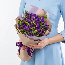 25 Фиолетовых Фрезий в упаковке