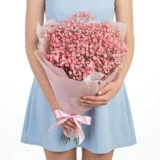 Букет из Розовых Гипсофил