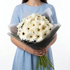 25 Белых Гербер в упаковке