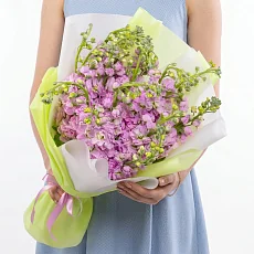 15 Розовых Маттиол в упаковке