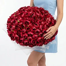 101 Красный Пион в упаковке