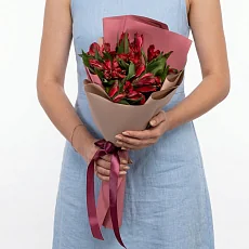 5 Красных Альстромерий в упаковке