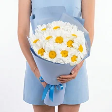 15 Крупных Ромашек в упаковке