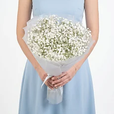 9 Белых Гипсофил