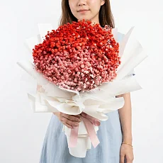 15 Красных Гипсофил