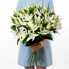 19 Снежных Лилий