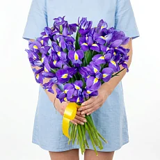 Букет из 25 ирисов
