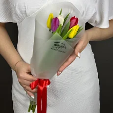 5 Ярких разноцветных Тюльпанов