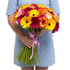 51 Гербера Микс