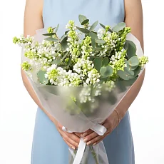 11 Веток белой сирени с эвкалиптом