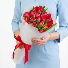 Букет Пионовидных рубиновых тюльпанов 19 шт