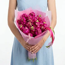 17 Малиновых Маттиол в упаковке