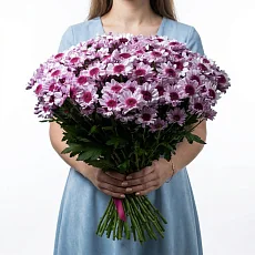 51 Сиреневая Хризантема Кустовая
