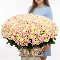501 Роза нежная