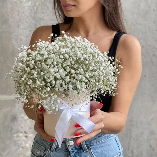 Белая гипсофила в коробке