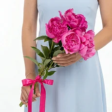 5 Малиновых Пионов