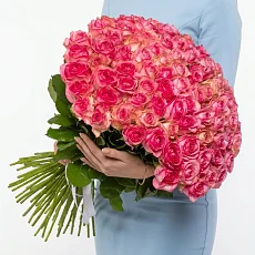 101 Розово-Белая Роза