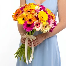 35 Гербер Микс