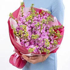 25 Розовых Маттиол в упаковке