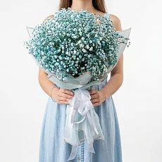 31 Голубая Гипсофила