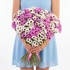 51 Белая и Розовая Сантини