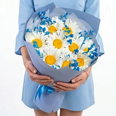 Букет из Ромашек в упаковке