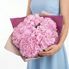 7 Розовых Гортензий