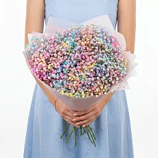 7 Радужных Гипсофил