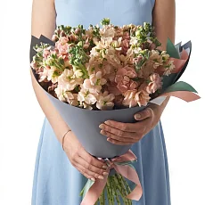 21 Кремовая Маттиола в упаковке