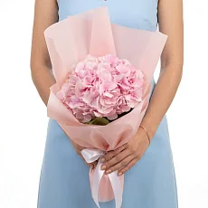 Яркая гортензия