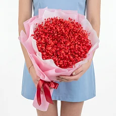 9 Красных Гипсофил