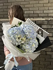 3 Голубые гортензии в упаковке