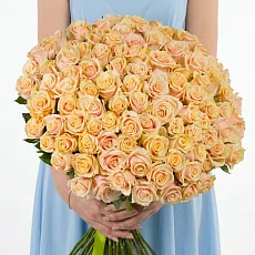 101 Кремовая Роза