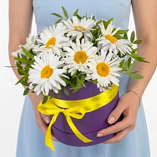 9 Крупных Ромашек в коробке