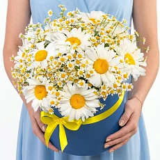 23 Ромашек Микс в коробке