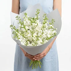Букет "15 Белых Маттиол"