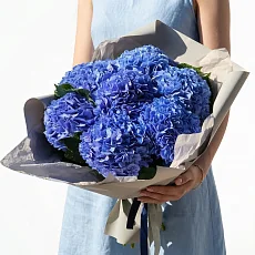 7 Синих Гортензий