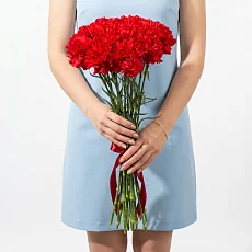 15 Красных Гвоздик