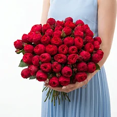 51 Кустовая Пионовидная Красная Роза