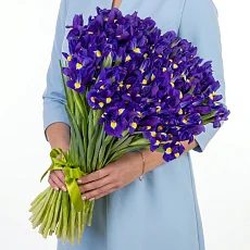 101 Синий Ирис под ленту