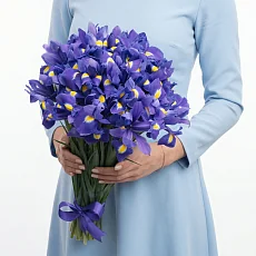 31 Ирис
