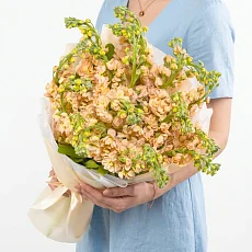 19 Кремовых Маттиол в упаковке