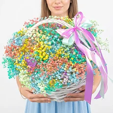 25 Разноцветных Гипсофил в корзине