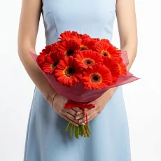 11 Ярких Гербер