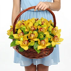 Корзина с желтыми орхидеями