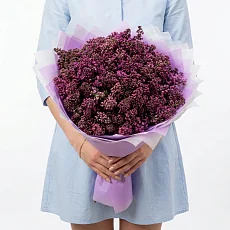 25 веток сирени в дизайнерской упаковке