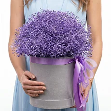 25 Фиолетовых Гипсофил в коробке