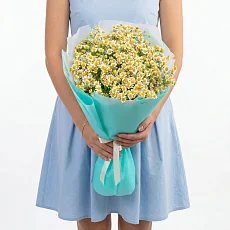 9 Кустовых Ромашек в упаковке